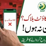 BISP Re-Verification Guide 2026 for Blocked Accounts