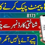How to Check BISP Payment Status by CNIC 2026